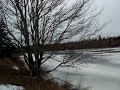 Timberlea Frozen Lake!