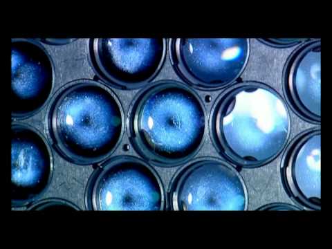 Kosmos