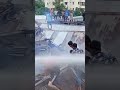 মহাখালী সাততলা বস্তিতে আ গু ন #shortsfeed