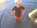 dog beach12