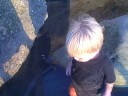 dog beach12