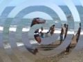 Netinho Capoeira Netinho Capoeira