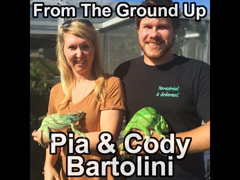 YouTube reptile video