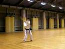 Shinshinkan Isshin Ryu Karate - Tokumine no Kun Kata - Japan