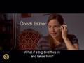  - MovieZen Video