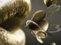 Assistir ao v�deo