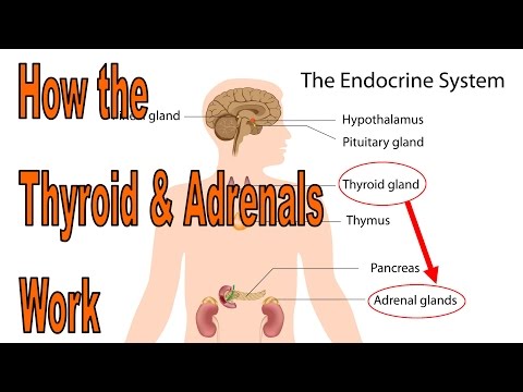 how to treat hypothyroidism