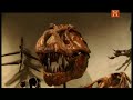 [1] Megadesastres - Erupción de rayos gamma