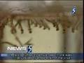 mediacorp News 5 Tonight