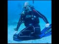 bluestardive Ferien Bohol 2009