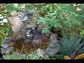 Quietud - terrario panor�mico en fuente