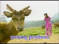 rusa