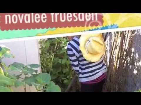 remineralizes - Novalee gets into the