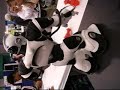 Video of RoboSapien V2 Video of RoboSapien V2