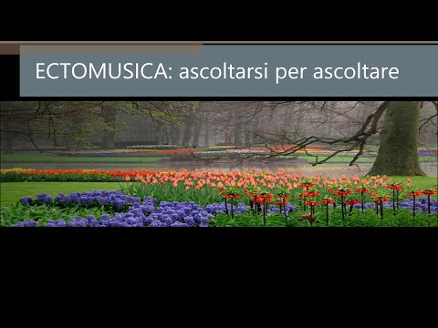 Immagine anteprima YouTube