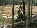 Timberjack Film4