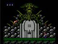 this is a no-death run that i did on june 1, 2007. i used a dvd recorder and an nes to record this video. no cheats were used. this is part 1 of 2. if you want to view this run uncut, go here: video.google.com