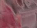videos de Psyco Año Nuevo