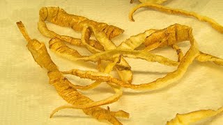 DIY | Wie macht man frittierte Pastinaken Chips