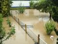 Die Flut von Aspach