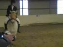 Showjumping 2006