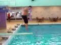 video chistoso