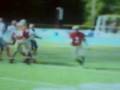 videos de reggie bush