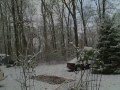 Kitten's First Snow