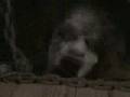 VARAM_Cause Your Death feat Horror Video
