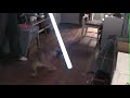 Bulldog Vs. Lightsaber. Bulldog Vs. Lightsaber.