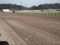 Täby galopp!