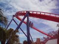 Shades of Sheikra Shades of Sheikra