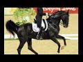 Anky van Grunsven - Salinero - Olympic Champion Beijing 2008