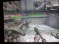 call of duty 5 world at war