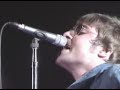 morning glory-oasis