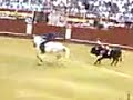 Pablo Hermoso de Mendoza , Feria de Almeria 3