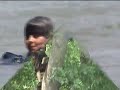 Rope Swing