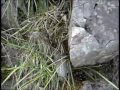 Picos de Europa - Refugio Cabrones Parte 2