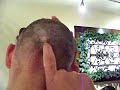 lost the bet lost the bet