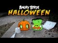 Real Life Angry Birds Seasons