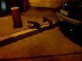 Large Dog, Small Cat, ep. 009