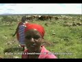 Field Visit Masai