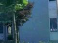 30July2007 TRIP TO BREISACH GERMANY PART 1