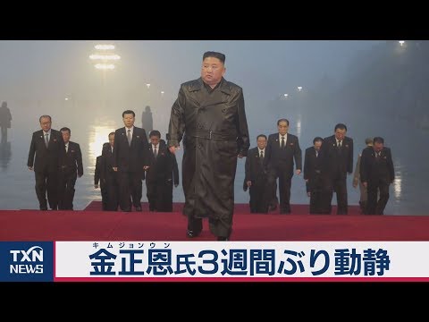 動画