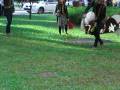 videos de PRABU @ WOODLAND
