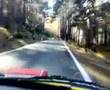 Shalymar 07 CINQUECENTO (Canencia T.C.4)