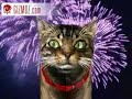 Romeow The Romantic Cat