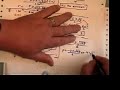 Using the Discriminant in a Quadratic Equation