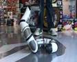 Roboboa
