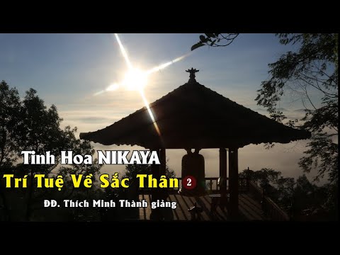 Tinh Hoa NIKAYA – Trí Tuệ Về Sắc Thân 2